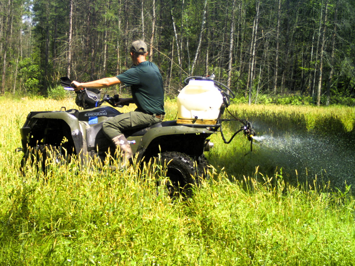 Invasives Removal & Herbicide Application Invasives Removal & Herbicide Application